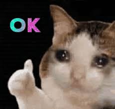 OK sad cat logo